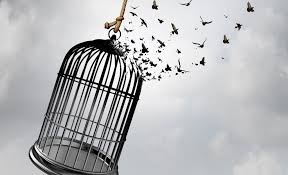 Image result for foto  de uma vida