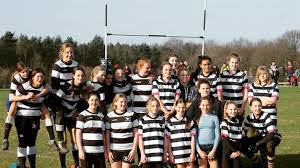 Image result for pulborough netball club