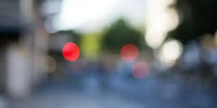 Image result for Wellington Petanque Club