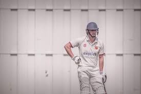 Image result for Bilton Cricket Club