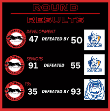 Image result for Eltham Panthers