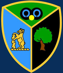 Image result for London County Short Mat Bowls Association