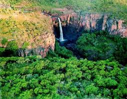 Billedresultat for kakadu n...