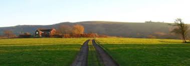 Image result for Hassocks Ladies FC