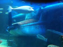 Image result for Eltham and District Sub Aqua Club