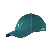 Image result for Woolpit Cricket Club