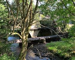 Image result for Victoria Rangers A R L F C