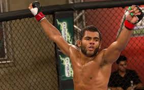 Image result for Wolverine MMA