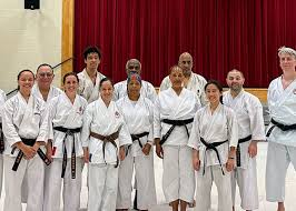 Image result for Shotokan Karate