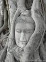 Royalty Free Stock Image: Stone Buddha head surrounded by tree roots - stone-buddha-head-surrounded-by-tree-roots-thumb5072896