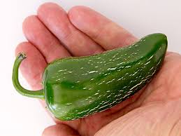 Afbeeldingsresultaat voor biker billy jalapeno hot pepper