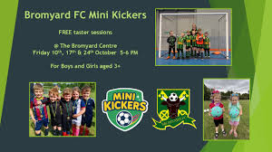 Image result for Bromyard Town Football Club Limited