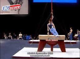 Image result for Hawth Gymnastics, Crawley