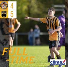 Image result for Axminster Town Cricket Club