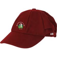 Image result for Bearsted Cricket Club