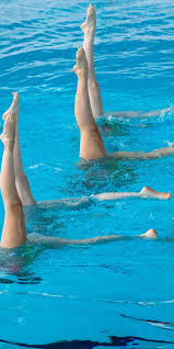 Image result for Walsall Artistic Swimming Club