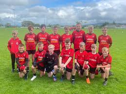 Image result for Rostrevor Hurling Club