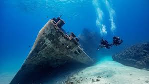 Image result for Looe Diving Club