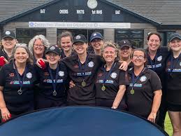 Image result for Carmarthen Wanderers Cricket Club