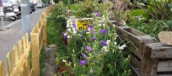 Image result for Marienglockenblumen