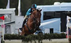 Image result for Huntingdon and District Riding Club