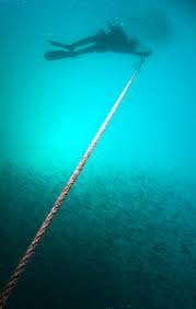 Image result for Surrey Aquanauts B S A C 0689