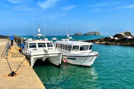 Image result for Iom Aquaholics