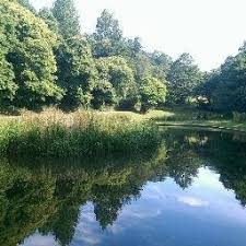 Image result for Torfaen Indoor Bowls Club