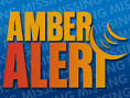 Amber Alert | Ellisville, MO - Official Website