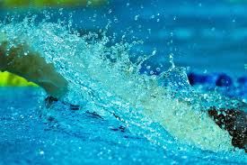 Image result for Swansea Finswimming Club