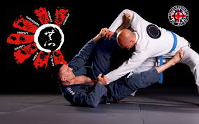Image result for Mushin Kempo Jiu Jitsu Club