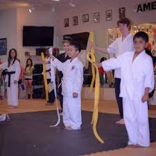 Image result for America's Best Karate