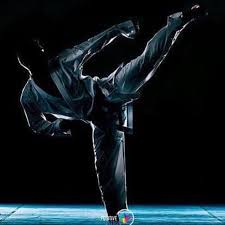 Image result for Burnley Wado Ryu Karate Club