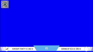 Image result for Horsham Trinity Cricket Club