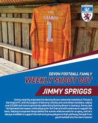 Image result for Harbertonford A F C