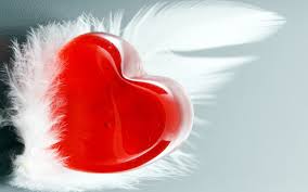 http://t0.gstatic.com/images?q=tbn:ANd9GcRjnwfdvnMTDrYLxLsIqa9TPcqKfYfErF0-K5Ut46TxNC3S4gPh
