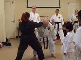 Image result for Cobra Karate Club