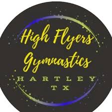 Image result for Hull High Flyers Gymnastics Club