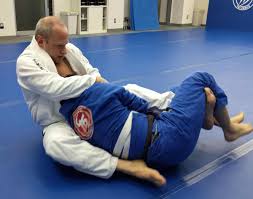 Image result for Brazilian-martial arts
