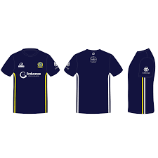 Image result for Cwmbran Celtic F C