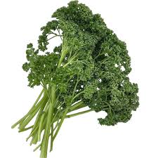 Image result for Petersilie