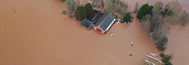 Image result for Ross Rowing Club