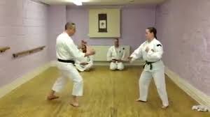 Image result for Harrow Shorinji Kempo