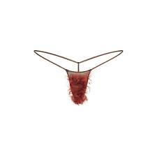 Image result for schamhaar