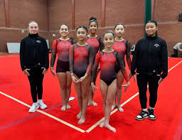 Image result for Uttoxeter Gymnastics Club