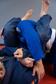 Image result for Team Renegade BJJ & Judo