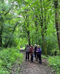 Image result for U3A Birkdale SG