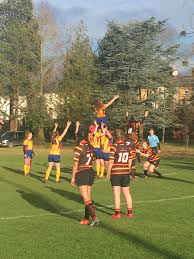 Image result for Bridgwater & Albion RFC