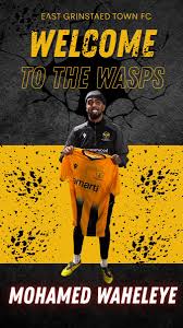 Image result for East Grinstead Town Football Club