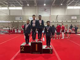 Image result for Arabian School Of Gymnastics, Milton Keynes